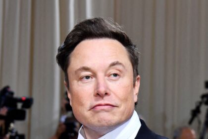 Elon Musks Vermögen