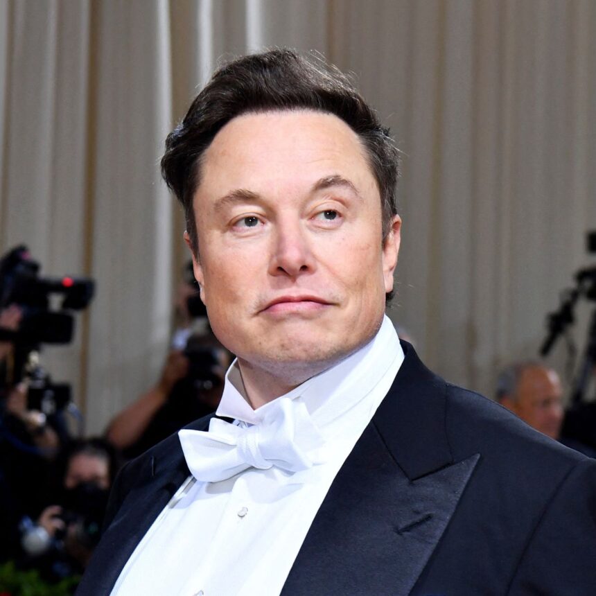 Elon Musks Vermögen