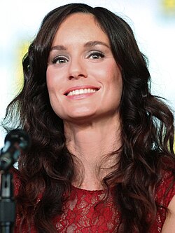 Sarah Wayne Callies